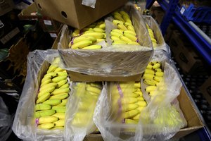 Krovininiame laive tarp bananų – 51 mln. dolerių vertės kokaino siunta