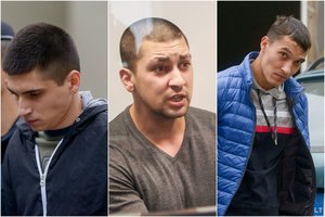 I. Strazdauskaitės nužudymo byloje – naujos detalės: vienas įtariamųjų griebėsi netikėtos taktikos