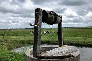 Įspėja: šachtinių šulinių vanduo dažnai nėra saugus ir kokybiškas