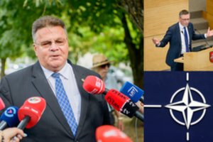 L. Linkevičius apie grėsmes iš Rusijos: „Kalbame ne apie tankus“