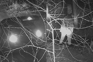 Vaizdo kameros užfiksavo vilnietį šiukšlintoją: grįžo susirinkti, ką paliko miške