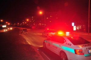 Senolio mirtis Joniškio rajone užminė mįslių – sulaikyti trys kartu girtavę vyrai