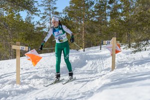 Pasaulio orientavimosi slidėmis čempionate J. Traubaitė finišavo 11-a