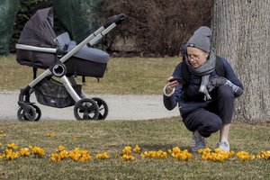 Po žiemiškų orų bangos – pavasariškos šilumos pliūpsnis