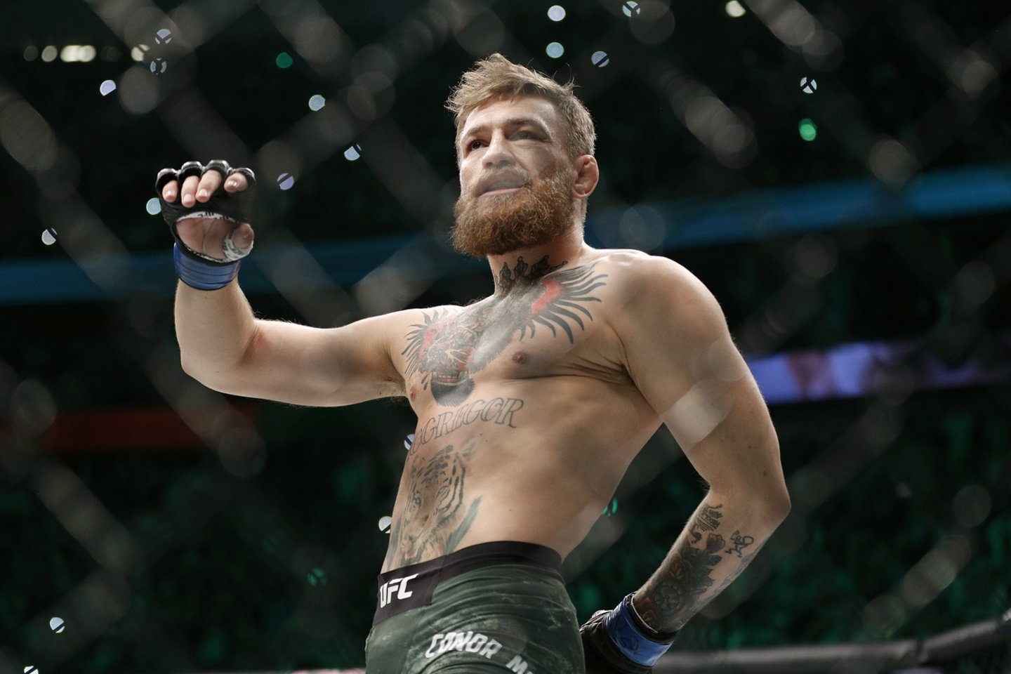 Conoras McGregoras traukiasi iš MMA<br>AP nuotr.