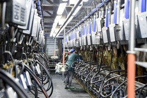 Siūlys, kad pieno supirkėjai skelbtų ūkininkui mokamą kainą