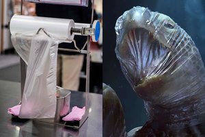 Nepatogu žiūrėti: sukrečiantys vaizdai privers susimąstyti apie kasdienį mūsų poelgį