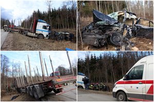 Kraupi nelaimė Rokiškio r.: po susidūrimo su miškavežiu, žuvo jaunas vairuotojas