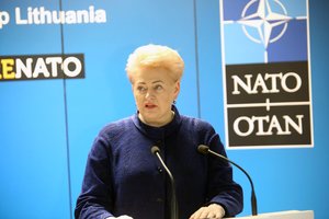 Prezidentė: Lietuva niekada nebuvo tokia saugi, kaip dabar 