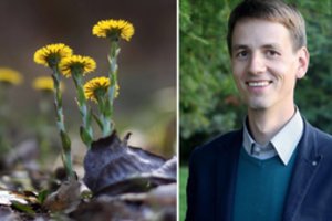 Ką daryti kai organizmą migdo per žiemą suvalgyti cepelinai? Gerosios „bombos“ iš gamtos