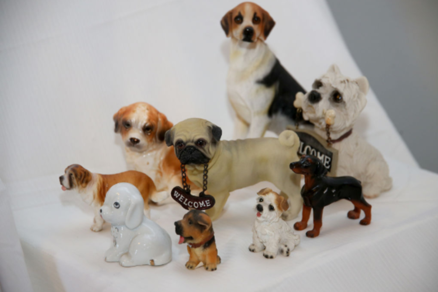 Šešiolika metų renkama, iš įvairių pasaulio šalių atkeliavusių šuniukų kolekcija Kėdainiuose eksponuojama pirmąjį kartą. <br>Algimanto Barzdžiaus/Rinkos aikštė nuotr.