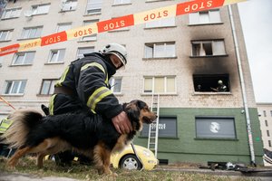 Gyvybe dėl šuniuko rizikavęs ugniagesys sulaukė malonios žinios