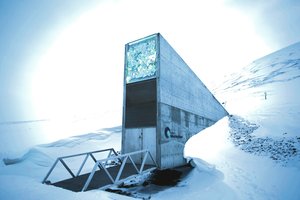 Augalų sėklų pasaulio pabaigos saugyklai iškilo didžiulis pavojus