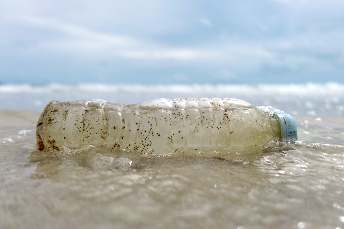  Plastiku užterštoje aplinkoje kenčia visi.<br> Scanpix/AFP/Reuters nuotr.