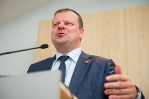 S. Skvernelis – apie nerimą dėl G. Nausėdos ir Vyriausybės pokyčius po prezidento rinkimų 