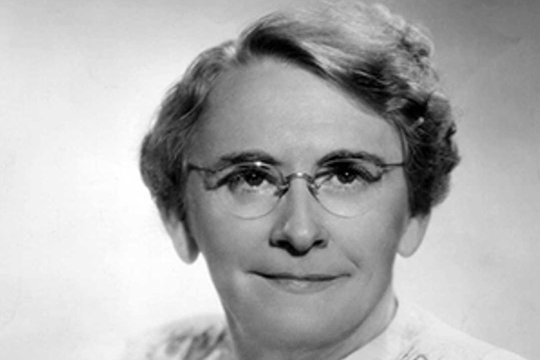 Modernaus įvaikinimo motina įsuko siaubingą verslą: vaikų grobimą pavertė milijonais dolerių