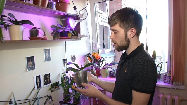 Parodė, kaip sukurti orchidėjų kolekciją neišleidžiant nė cento