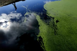 Australijos ežere rasti dviejų mokinių lavonai, jų mirtis kelia daug klausimų