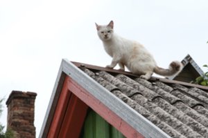 Duoda dar vieną galimybę – dalija paramą norintiems pasikeisti stogą