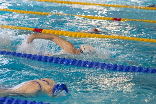 Plaukimo varžybose Vilniuje – olimpinio vicečempiono dominavimas ir 94-erių metų lietuvio startai