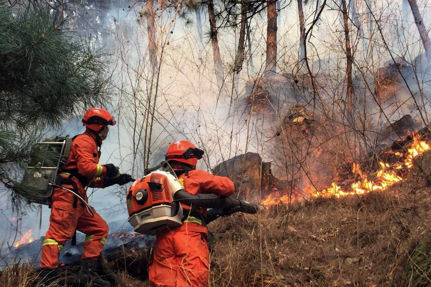 Pietvakarių Kinijos atokiuose kalnuose ugniagesiai kovoja su miško gaisru, jau pareikalavusiu mažiausiai 24 gyvybių, pirmadienį pranešė valstybinė žiniasklaida.