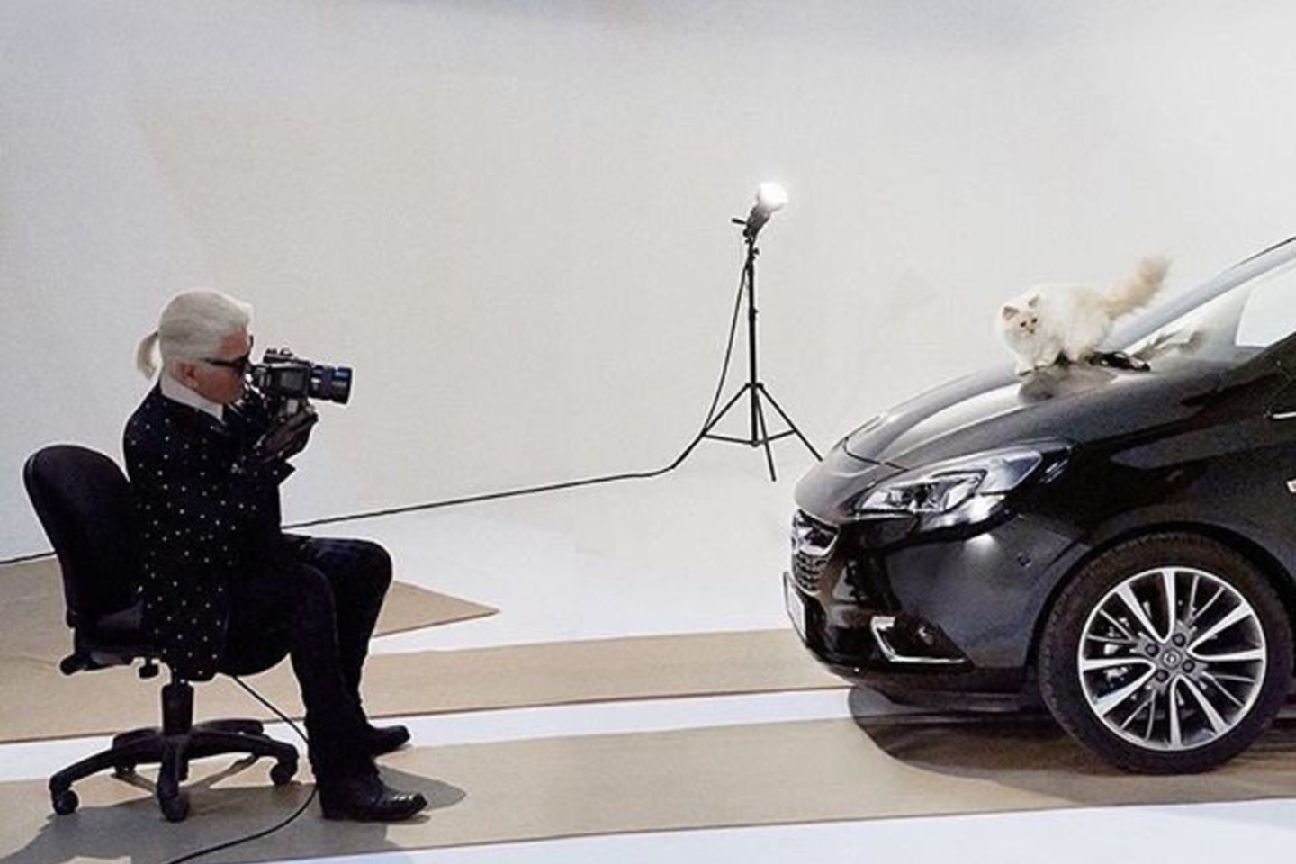 Karlas Lagerfeldas bijojo, kad po jo mirties Choupette gali nugrimzti į gyvūnams būdingą depresiją.<br> Instagram nuotr.