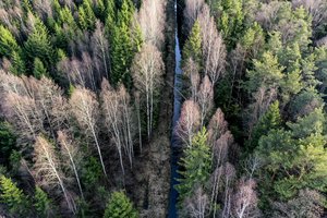 Už žemę mieste kompensaciją mišku pasirinko 133 gyventojai