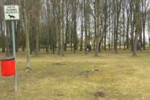 Kyla į kovą su nevalyvais šunų šeimininkais: paruošė drastišką priemonę