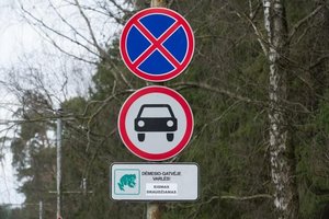 Vairuotojų prašo neignoruoti šio ženklo: padėkite išsaugoti varles