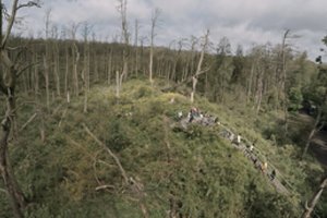 Į „Rūgštų mišką“ filmo anonsas kviečia žmonių ir kormoranų balsais