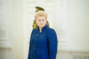Baigiantis D. Grybauskaitės kadencijai ekspertų dūris – vienos užduoties nepadarė