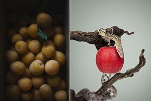 Geriausių maisto fotografijų konkurse – dviejų lietuvių sėkmė