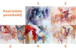 Pasirinkite paveikslėlį: ar stipri jūsų energija?