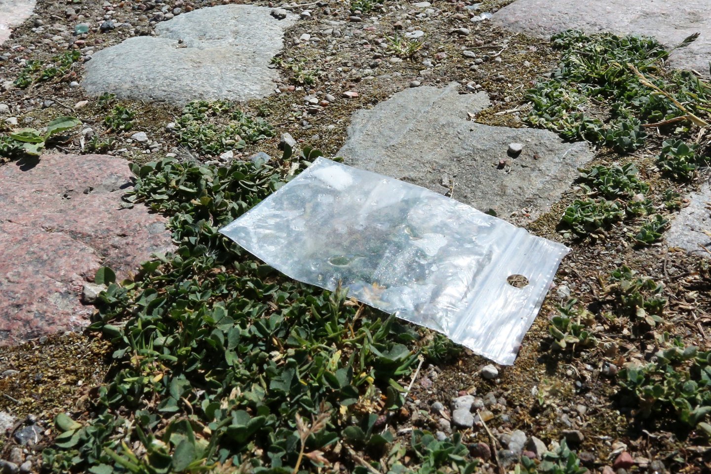 Pareigūnus išvydęs vyras išmetė galimai narkotines medžiagas.
