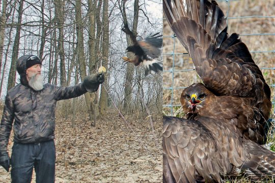 Įkyriems parko gyventojams siaubą varo plungiškio suopis