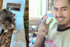 Širdį verianti istorija: ištikima katė visus metus nesitraukia nuo mirusio šeimininko kapo