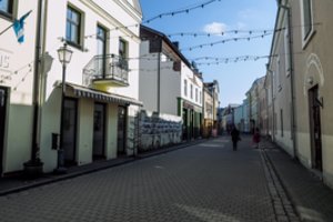 Kėdainiuose paauglys suimtas dėl penkių vagysčių