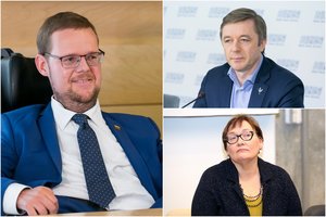 J. Džiugelis – apie valstiečių keršto politiką, A. Maldeikienės pareiškimą ir R. Karbauskio galias