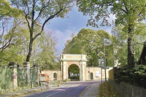 Pavedosaugininkams medžių mylėtojai nerūpi