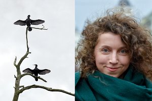 Pasaulį užkariaujantys lietuvių kino kūrėjai įsiveržė į kormoranų miegamuosius