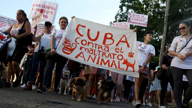 Kuboje surengta pirmoji nepriklausoma pilietinė akcija 