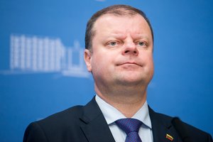 Konservatoriai susidomėjo S. Skvernelio praeitimi ir gauta nuobauda