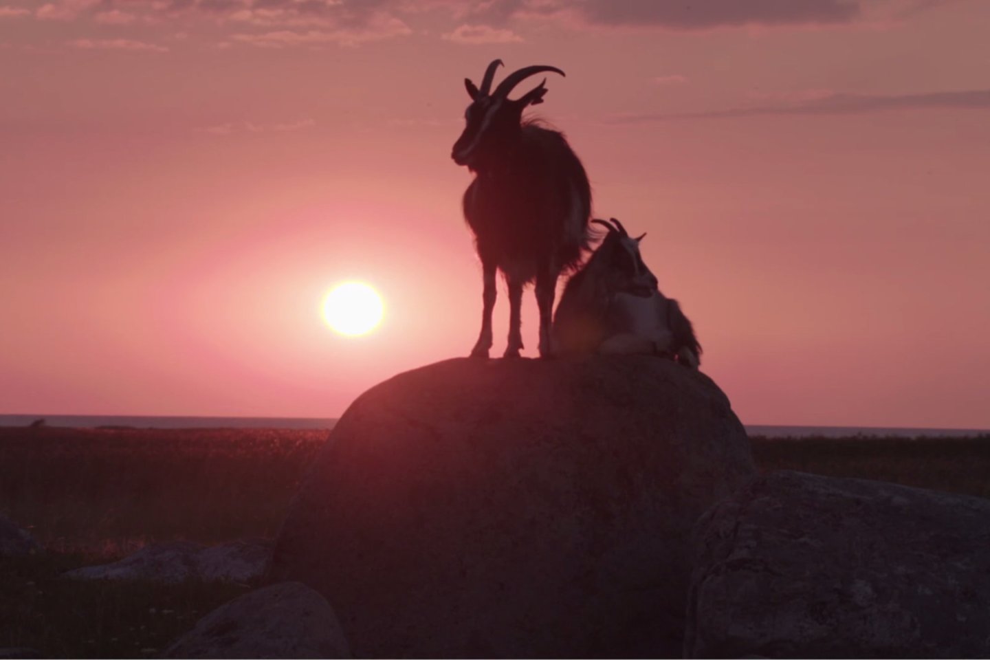 Filmo „Laiko tiltai“ kadras.