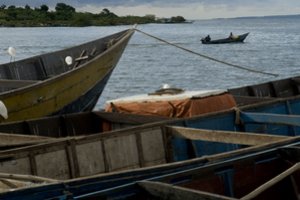 Ugandoje turistas iš Saudo Arabijos darydamasis asmenukę nuskendo Nilo upėje