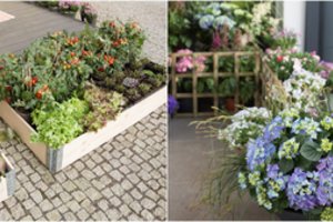 Daržininkams ir gėlynų puoselėtojams vienas prekybos centras pateikė išskirtinių pasiūlymų