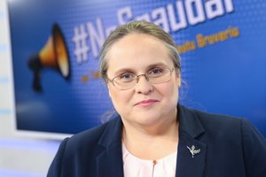 Seimo komitetas pritarė A. Širinskienės vadovaujamos tyrimo komisijos darbo pratęsimui