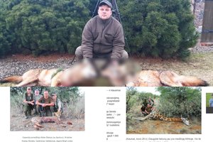 Žirafų ir gepardų neužteko: nuo rokiškėno paleistų kulkų gimtinėje krenta vilkai