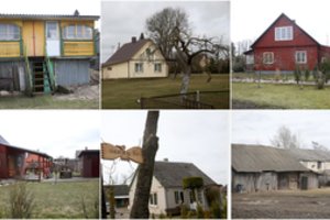 Kaimas viename Lietuvos kampelyje, kuriame  ko jau ko, bet kavalierių tikrai netrūksta