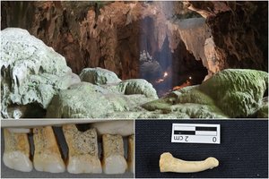 Mokslo sensacija: aptikta nauja žmonių rūšis