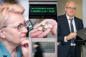 2009-ųjų krizės tyrimo užkulisiai – 4 veikėjų režisūra, lūkesčiai atgauti permokas ir V. Vasiliausko likimas